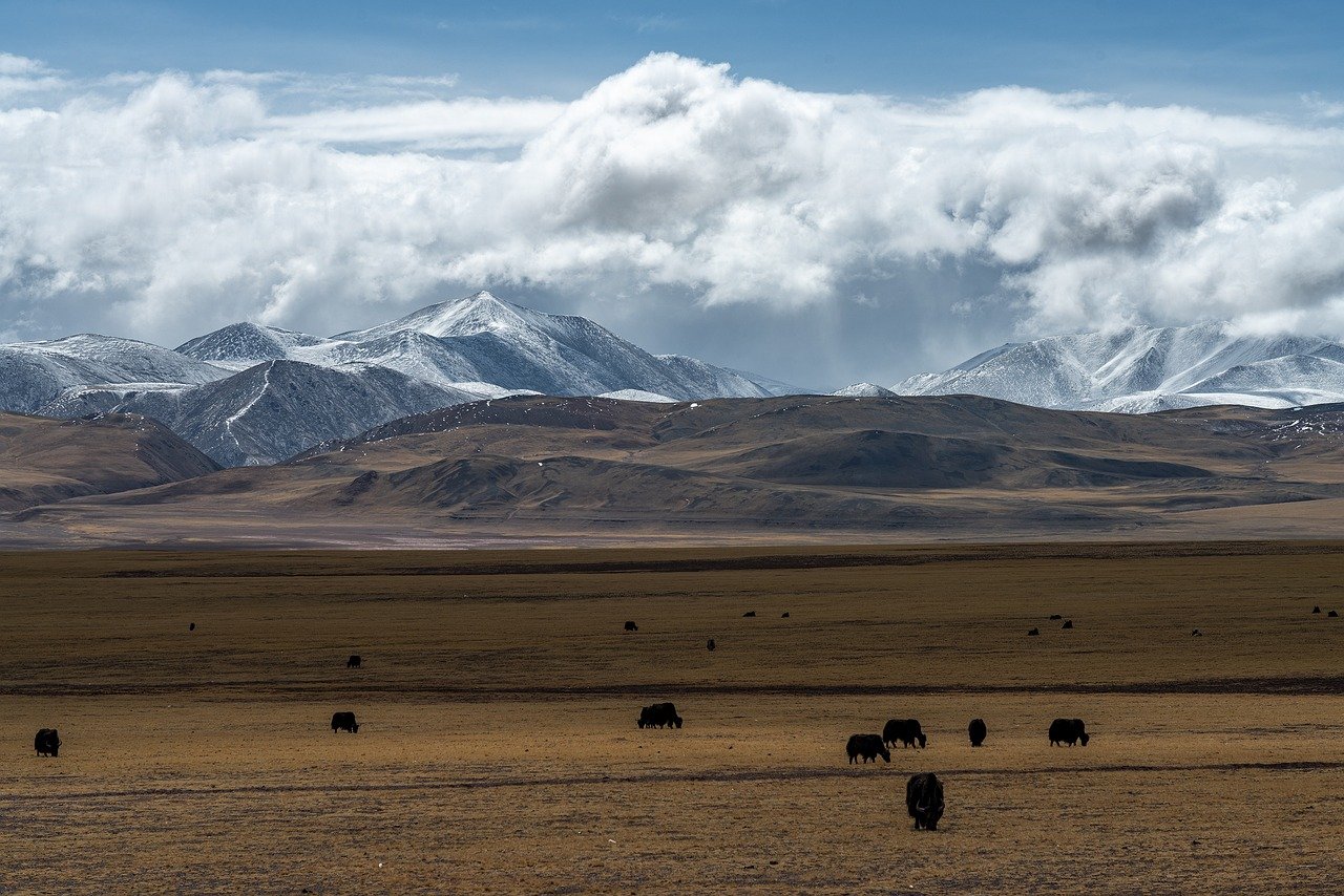 Encounter the diverse and breathtaking landscapes of Tibet and Xinjiang