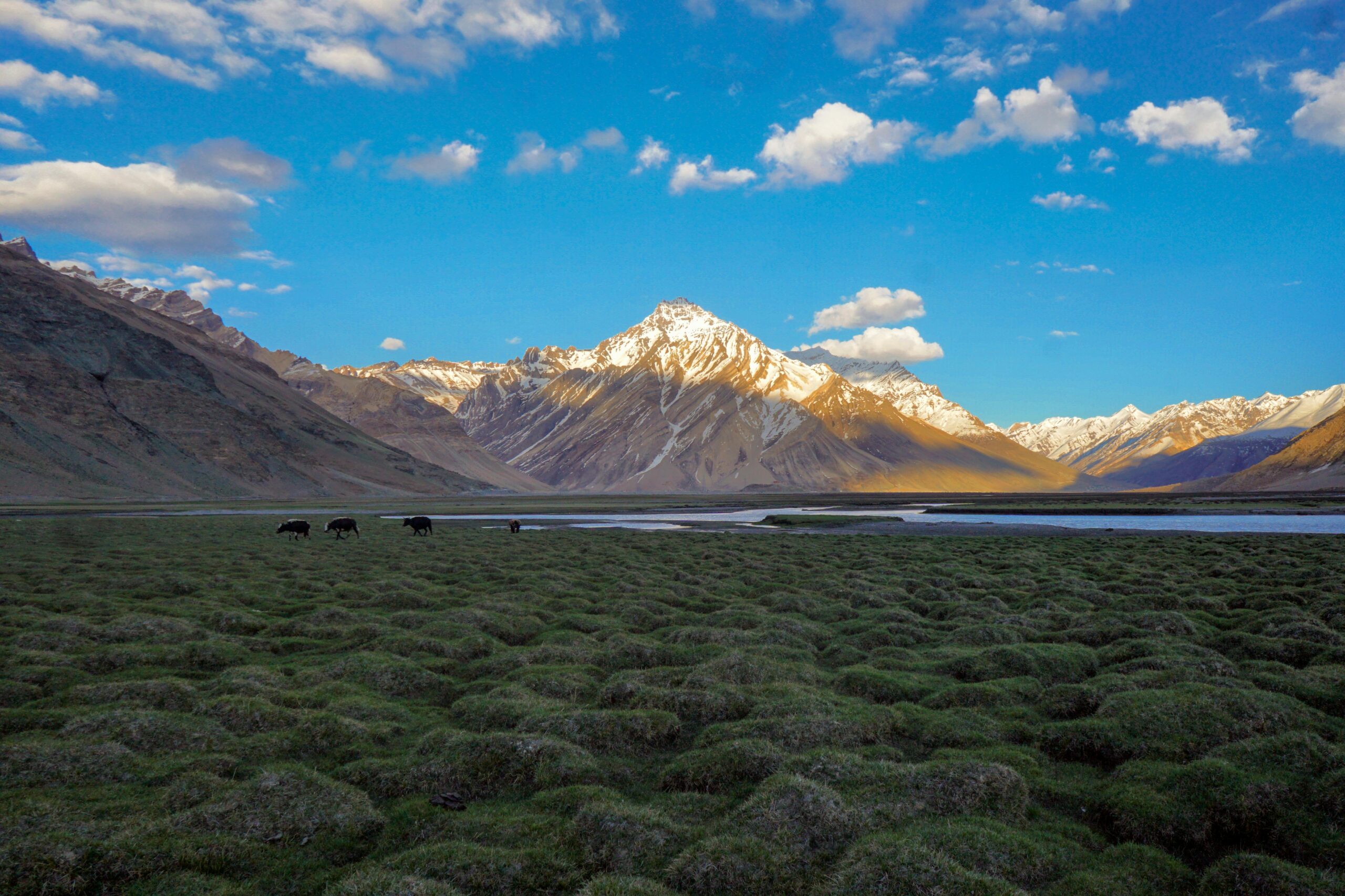 Traverse the Qinghai-Tibet Plateau, known as the "Roof of the World"