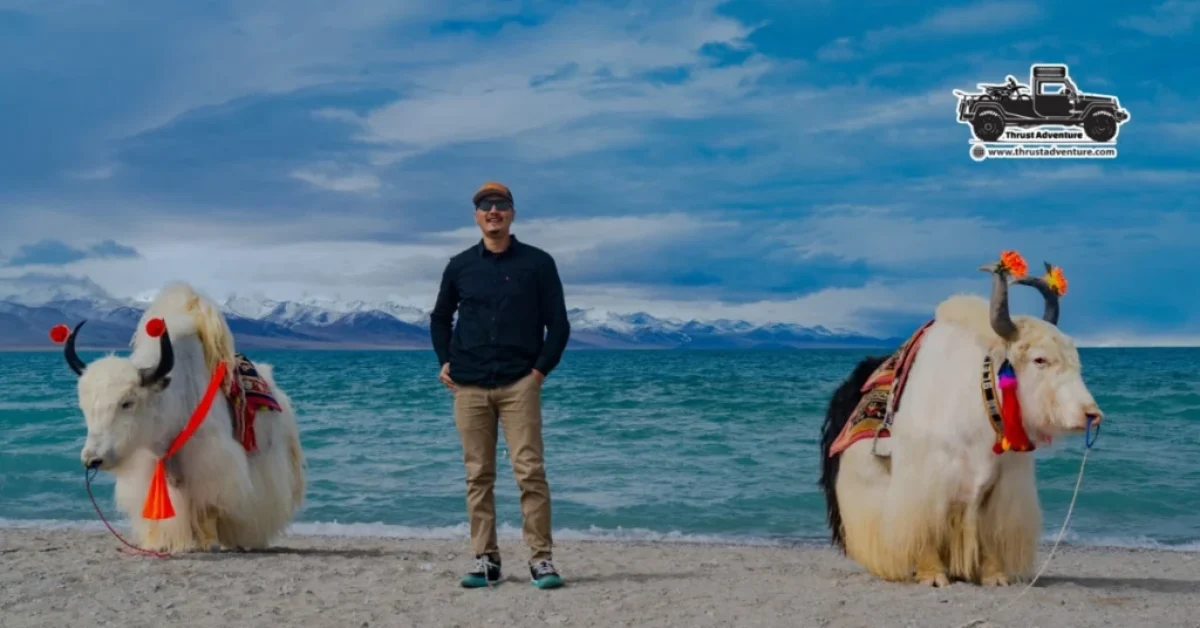 Mr. Saurav at Namtso Lake with 2 white yaks.